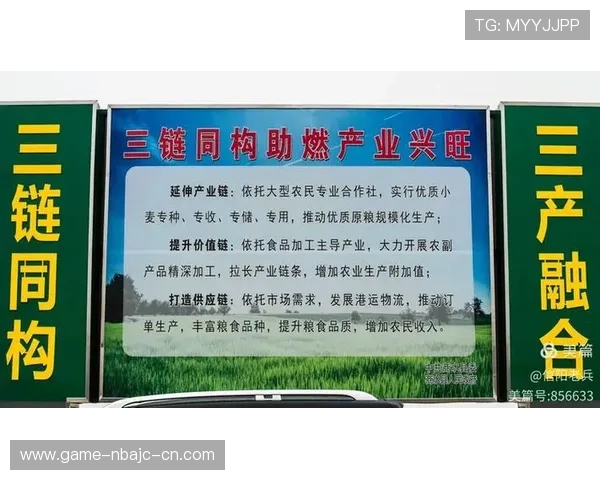 开云体育中国积极响应国家体育战略，推动体育产业链全面升级